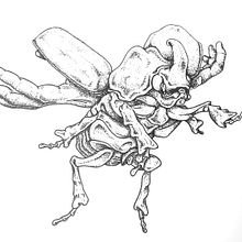 Mi Proyecto del curso: Diseño de tatuajes Blackwork Ein Projekt aus dem Bereich Tattoodesign, Traditionelle Illustration und Digitale Illustration von Gaston Pace - 09.11.2021
