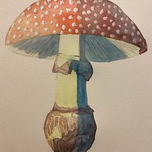 My project in ‌Illustration of Natural Elements in Watercolor course. Un proyecto de Ilustración tradicional, Ilustración naturalista				 y Pintura a la acuarela de Sara Ray - 05.11.2021