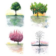 Árboles estacionales. Un progetto di Illustrazione tradizionale e Pittura ad acquerello di Aron Schultz - 25.07.2020