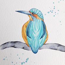 Mi Proyecto del curso: Acuarela artística para ilustración de aves. Un projet de Illustration traditionnelle, Aquarelle, Dessin réaliste et Illustration naturaliste de Adriana Salgado - 12.11.2021