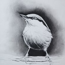 My project in Artistic Watercolor Techniques for Illustrating Birds course. Un progetto di Illustrazione tradizionale, Pittura ad acquerello, Disegno realistico e Illustrazione naturalistica di Kristin Herman - 01.12.2021