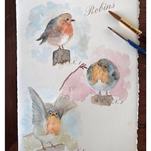Watercolour Robins. Un proyecto de Ilustración tradicional de Michela Gissi - 22.10.2021