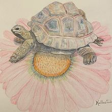 Mon projet du cours : Illustration surréaliste inspirée par la nature. Traditional illustration, Pencil Drawing, Drawing, Artistic Drawing, and Naturalistic Illustration project by Francine Calestagne - 11.13.2021