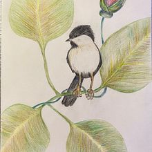 Mon projet du cours : Illustration surréaliste inspirée par la nature Ein Projekt aus dem Bereich Traditionelle Illustration, Bleistiftzeichnung, Zeichnung, Artistische Zeichnung und Naturalistische Illustration von Karine - 14.11.2021