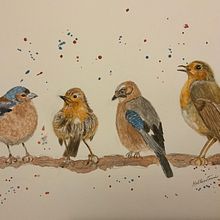 Mon projet du cours : Techniques artistiques d'aquarelle pour illustrer les oiseaux. Traditional illustration, Watercolor Painting, Realistic Drawing, and Naturalistic Illustration project by Francine Calestagne - 11.14.2021