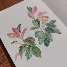 Mi Proyecto del curso: Creación de paletas de color con acuarela. Un proyecto de Ilustración tradicional, Bellas Artes, Pintura, Pintura a la acuarela y Teoría del color de Ana Bondioli - 14.11.2021