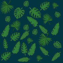 Some of my first graphics in illustrator. Un progetto di Illustrazione tradizionale di Kamil Wieczorek - 14.11.2021