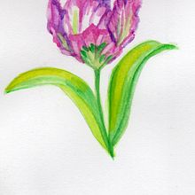 Meu projeto do curso: Ilustração de elementos naturais em aquarela. Traditional illustration, Naturalistic Illustration, and Watercolor Painting project by Simone Gomes Siqueira - 11.14.2021