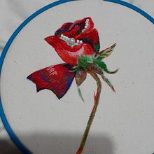 Mi Proyecto del curso: Diseño de moda: pintura y bordado sobre prendas. Un proyecto de Pintura, Diseño de moda, Bordado, DIY, Upc y cling de Maria C Ceball - 15.11.2021