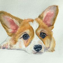My project in Expressive Animal Portraits in Watercolor course. Un proyecto de Ilustración tradicional, Pintura a la acuarela, Dibujo realista e Ilustración naturalista				 de Michela Gissi - 14.11.2022