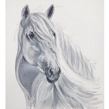 Monochromatic White horse. Un proyecto de Ilustración tradicional de Michela Gissi - 14.11.2021