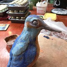 Kingfisher photography and painting . Painting project by Judy James - 11.14.2021