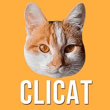 Clicat. Projekt z dziedziny Projektowanie gier użytkownika Agustin Adducci Recofsky - 30.10.2021