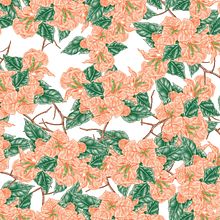 Bougainvillea Floral Pattern Illustration. Een project van Patroonontwerp, Traditionele illustratie,  Ontwerp,  Creativiteit,  Tekening y Digitale illustratie van MYC A - 16.11.2021