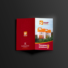 Grupo Iñesta. Diseño gráfico para diferentes soportes y formatos. . Br, ing și identitate, Design editorial și Design de Símbolo Ingenio Creativo - 11.16.2021
