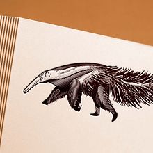 Gravura Tamanduá-Bandeira. Projekt z dziedziny Ilustracja c, frowa, Trad, c i jna ilustracja użytkownika Victor Tognollo - 17.11.2021