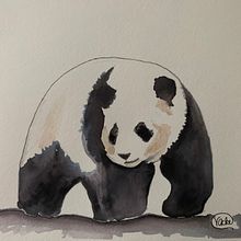 Panda. Projekt z dziedziny Malowanie akwarelą użytkownika vacker8 - 17.11.2021