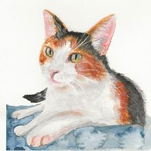 Mijn project van de cursus: Expressieve Dierlijke Portretten in Aquarel. Een project van Realistische tekening, Traditionele illustratie, Naturalistische illustratie y Aquarelschilderen van Ilja Perdaems - 17.11.2021