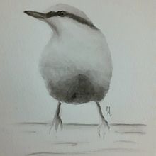 My project in Artistic Watercolor Techniques for Illustrating Birds course. Traditional illustration, Watercolor Painting, Realistic Drawing, and Naturalistic Illustration project by Hannah - 11.17.2021