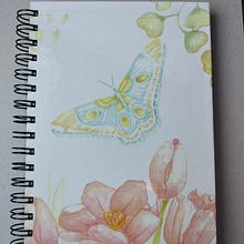 yecto del curso: Dibujo y composic acuarela. Un progetto di Illustrazione tradizionale, Disegno, Pittura ad acquerello e Illustrazione naturalistica di Graciela Borsarelli - 18.11.2021