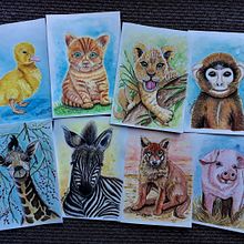 My project in Expressive Animal Portraits in Watercolor course. Projekt z dziedziny Trad, c, jna ilustracja, Malowanie akwarelą, R, sunek realist, czn, Ilustracja naturalist i czna użytkownika Juliana Buglia - 18.11.2021