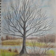 Szkicownik . % pauliwinu tarafından hazırlanan Güzel sanatlar projesi - 11.16.2021