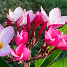 Mi Proyecto del curso: Fotografía y vídeo profesional con tu móvil. Een project van Mobiele fotografie, Instagram, Fotografie voor Instagram, Lifest y le fotografie van Gonzalo Sotelo - 19.11.2021