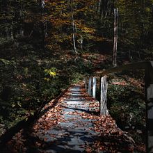 My hiking. Photograph, and Outdoor Photograph project by Сергей Гура - 11.19.2021