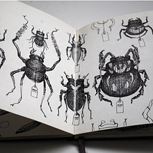 CHILE. Traditional illustration, Drawing, Sketchbook & Ink Illustration project by Thomas Cian - 11.19.2021