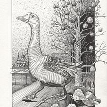 My project in Dip Pen and Ink Illustration: Capturing The Natural World course. Projekt z dziedziny Sketching,  R, sunek,  R, sunek art, st, czn, Sketchbook,  R, sunek atramentem, Ilustracja naturalist i czna użytkownika Svetlana Volchak - 19.11.2021