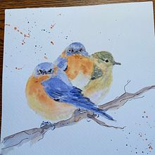 My project in Artistic Watercolor Techniques for Illustrating Birds course. Traditional illustration, Watercolor Painting, Realistic Drawing, and Naturalistic Illustration project by Barb O - 11.20.2021