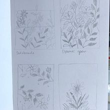 My project in Artistic Floral Watercolor: Connect with Nature course. Un progetto di Illustrazione tradizionale, Pittura, Pittura ad acquerello e Illustrazione botanica di Lisa Jane - 20.11.2021