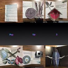 Mi Proyecto del curso: Libros pop-up interactivos: crea mundos de papel. Un progetto di Artigianato e Papercraft di Andrea Lopez - 21.11.2021