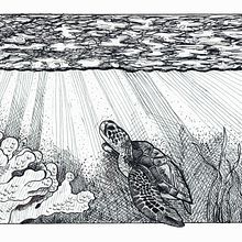 My project in Dip Pen and Ink Illustration: Capturing The Natural World course. Sketching, Drawing, Artistic Drawing, Sketchbook, Ink Illustration, and Naturalistic Illustration project by mcpaan - 11.21.2021