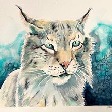 My project in Expressive Animal Portraits in Watercolor course. Projekt z dziedziny Trad, c, jna ilustracja, Malowanie akwarelą, R, sunek realist, czn, Ilustracja naturalist i czna użytkownika Marianne Elvan Barfoed - 21.11.2021