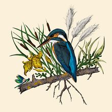 Mon projet du cours : Illustration naturaliste au stylo. Un projet de Illustration traditionnelle, Dessin, Dessin réaliste et Illustration naturaliste de Patricia DIDIERJEAN - 21.11.2021