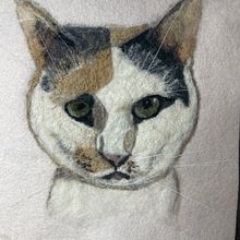 My project in Needle Felting: Paint Portraits with Wool course. Projekt z dziedziny Craft,  Tkactwo i Ilustracja naturalistyczna użytkownika Alice Martinez - 21.11.2021