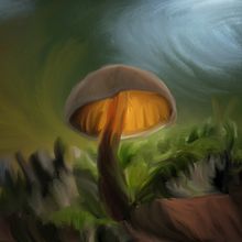 COGUMELO. Un proyecto de Ilustración tradicional, Pintura digital y Gestión del Portafolio de Kawan Rodrigues dos Santos - 21.11.2021