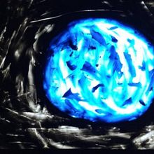 Kbum. Animação, e Stop Motion projeto de Evelina Torqui - 22.11.2021