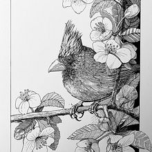 Second try with Nib Pen. Traditional illustration project by Chloe Gendron - 11.22.2021
