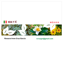 Mi proyecto_Etnografía_Hoja y Té_RCruzGar. Design project by rcruzgar - 11.21.2021