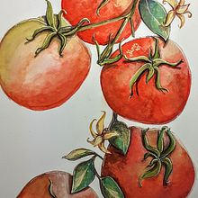 Tomates. Traditional illustration, and Watercolor Painting project by claudia regina - 11.22.2021