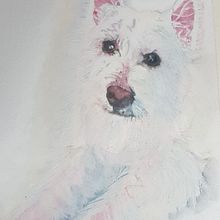My Expressive Animal Portrait in Watercolour: My late Noely, West Highland White Terrier . Watercolor Painting, and Traditional illustration project by Lurdes Hull - 11.22.2021