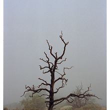 EXPOSICIÓN "SUPERFICIES VACANTES" . % Sergio Castro San Martin tarafından hazırlanan Fotoğrafçılık, Ve Belgesel Fotoğrafçılık projesi - 11.23.2021
