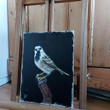 My project in Classical Oil Painting for Naturalist Bird Portraiture course. Fine Arts, Painting, Oil Painting, and Naturalistic Illustration project by Janneke Vrijdag - 11.23.2021