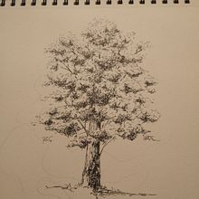 Il mio progetto del corso: Sketching quotidiano per potenziare la creatività. Traditional illustration, Sketching, Creativit, Drawing, and Sketchbook project by simosini - 11.23.2021