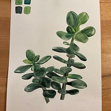 Mein Kursprojekt: Botanisches Aquarell: illustriere die Anatomie der Blumen. Projekt z dziedziny Trad, c, jna ilustracja,  Sztuki piękne,  Malarstwo,  R, sunek, Malowanie akwarelą, R i sunek botaniczn użytkownika alina_trischler - 23.11.2021