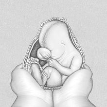 Autoficción. Un proyecto de Ilustración tradicional de Fabián Orlando Prieto Díaz - 17.11.2020