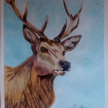 My project in Expressive Animal Portraits in Watercolor course. Traditional illustration, Watercolor Painting, Realistic Drawing, and Naturalistic Illustration project by Carmen Davalos - 11.23.2021