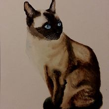 Expressive watercolor portraits with Sarah Stokes. Traditional illustration, Fine Arts, and Watercolor Painting project by Carmen Davalos - 11.20.2021
